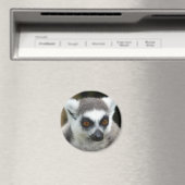 レムール マグネット (インサイチュ (食洗機))