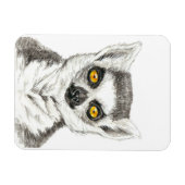 レムール マグネット (横)