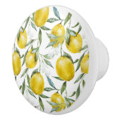レモかわいらしンスの木の夏 セラミックノブ (右)