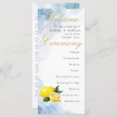 レモエレガントンイエロー&ブルーウォーター結婚カラー (正面/裏面)