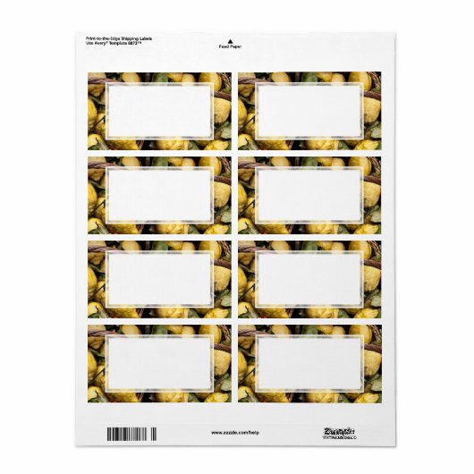 レモエレガントンイタリアンバスケットアマルフィコーストレモン ラベル (フルシート)