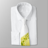 レモネード ネクタイ (タイ)