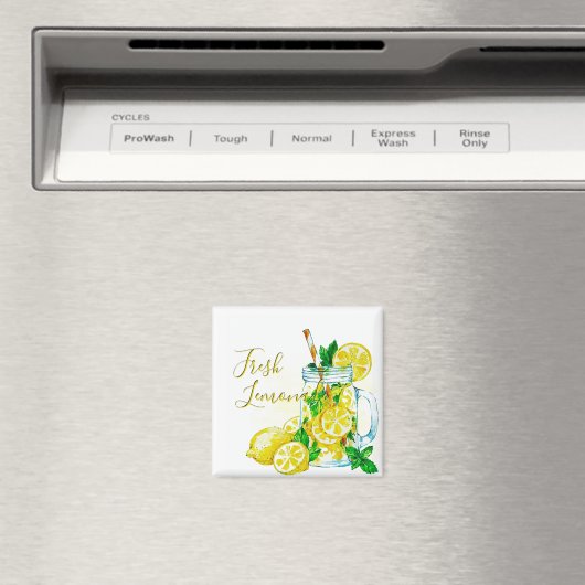 レモネード マグネット (インサイチュ (食洗機))