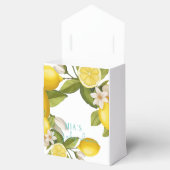 レモモダンンの赤ちゃんシャワー フェイバーボックス (オープン)