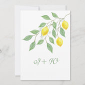 レモモダンン夏の日付を保存結婚する セーブザデート (裏面)