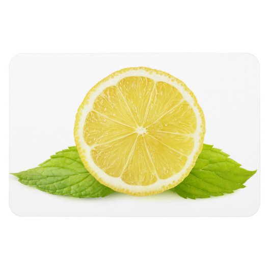レモンとミント マグネット (横)
