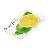 レモンとライム マグネット (左側)