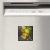 レモンとライム マグネット (インサイチュ (食洗機))