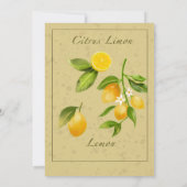 レモンとレモンの花ブライダルシャワー 招待状 (裏面)