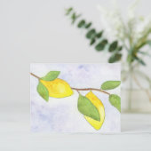 レモンと水葉色の木の枝 ポストカード (スタンド正面)