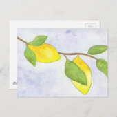 レモンと水葉色の木の枝 ポストカード (正面/裏面)