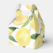 レモンの恵みボックスレモンギフトボックスメインスクイーズ フェイバーボックス (裏面サイド)