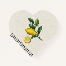 レモンの拡大版