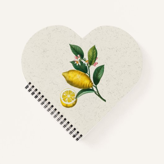 レモンの拡大版 ノートブック (正面)