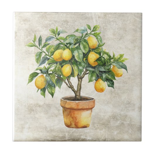 レモンの木の植木鉢 陶器 レトロカントリー タイル (正面)