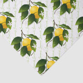 レモンの果実 薄葉紙 (詳細)