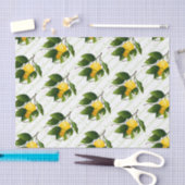 レモンの果実 薄葉紙 (クラフト)