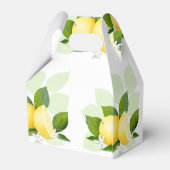 レモンの柑橘類の植物学 フェイバーボックス (裏面サイド)