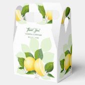 レモンの柑橘類の植物学 フェイバーボックス (オープン)