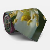 レモンの花 ネクタイ (ロール)