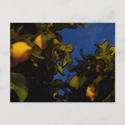 レモンの運 ポストカード (正面)