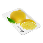 レモンを切る マグネット (右側)