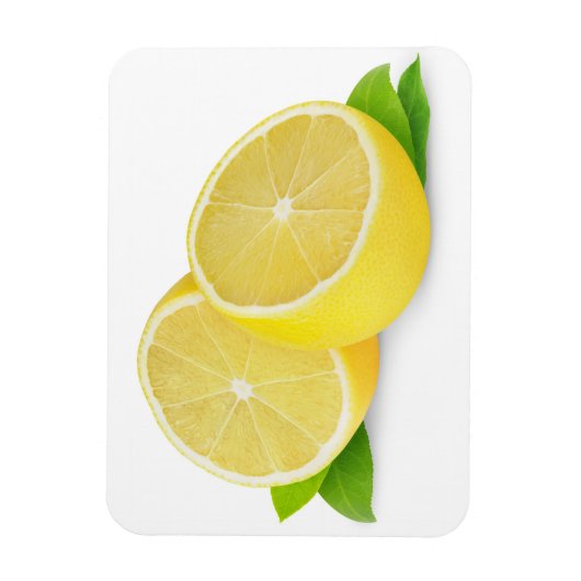 レモンを切る マグネット (縦)