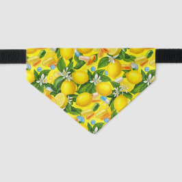 レモンイエローネコ薬局ヘルスケアナース