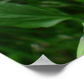 レモンイエローパンジーポスター ポスター (角)