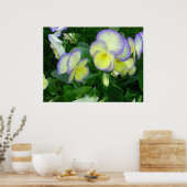 レモンイエローパンジーポスター ポスター (キッチン)