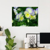 レモンイエローパンジーポスター ポスター (ホームオフィス)