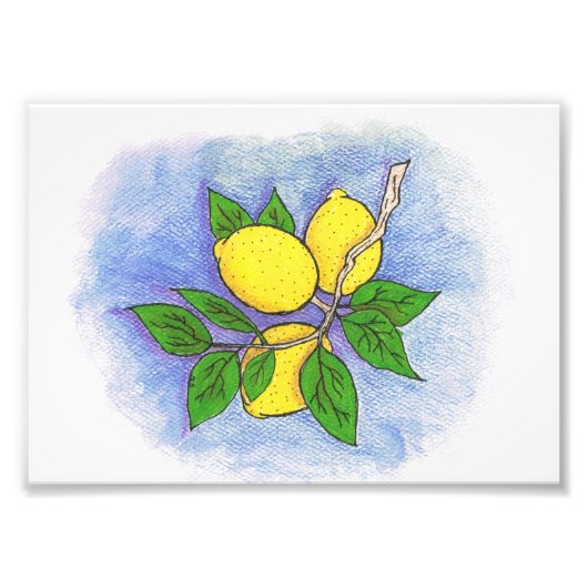 レモンイラストレーションフォトプリント フォトプリント            (正面)