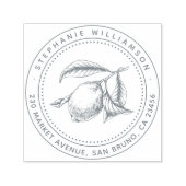 レモンイラストレーション名前をカスタムする&差出人住所 セルフインキングスタンプ (デザイン)