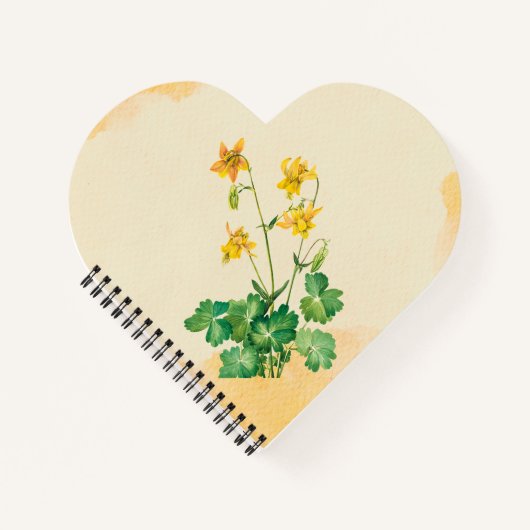 レモンオダマキ（植物）花 ノートブック (正面)
