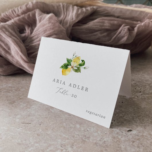 レモンガーデンモダンメニューオプション座席表 テーブルナンバー