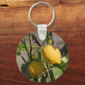 レモングラフィスペインのックス キーホルダー (正面)