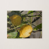 レモングラフィスペインのックス ジグソーパズル (横)