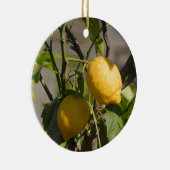 レモングラフィスペインのックス セラミックオーナメント (右)