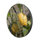 レモングラフィスペインのックス ダーツボード (正面右)