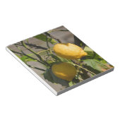 レモングラフィスペインのックス ノートパッド (アングル)