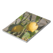 レモングラフィスペインのックス ノートパッド (回転)