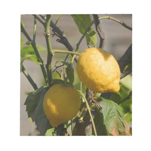 レモングラフィスペインのックス ノートパッド (正面)