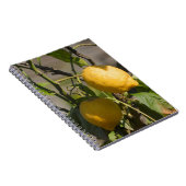 レモングラフィスペインのックス ノートブック (右側)