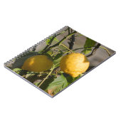 レモングラフィスペインのックス ノートブック (左側)