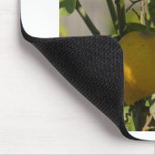 レモングラフィスペインのックス マウスパッド (コーナー)