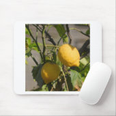 レモングラフィスペインのックス マウスパッド (マウス)