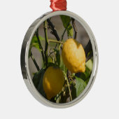 レモングラフィスペインのックス メタルオーナメント (右)