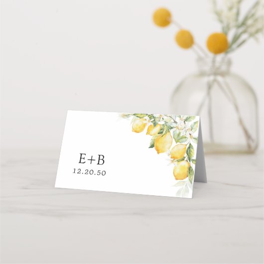 レモングリーンシトラス結婚ズの折り畳み座席表 プレイスカード (裏面)