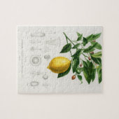 レモンシトラスフルーツボタニカルリモニウムイラストレーション ジグソーパズル (横)