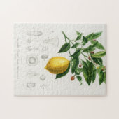 レモンシトラスフルーツボタニカルリモニウムイラストレーション ジグソーパズル (横)